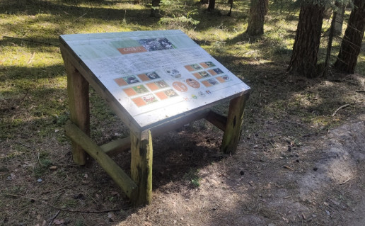 15_Šilelio pažintinis takas 1 (2).jpg